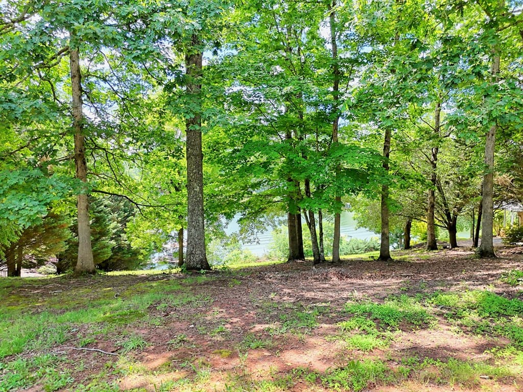 #4 Stonecrest Circle, Hiawassee GA 30546 - Photo