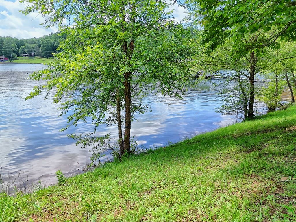#4 Stonecrest Circle, Hiawassee GA 30546 - Photo