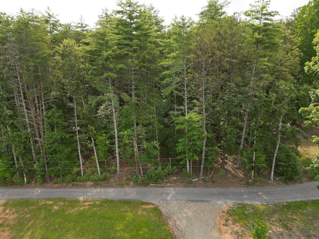 Lot 24 Arrendale Estate, Blairsville GA 30512 - Photo