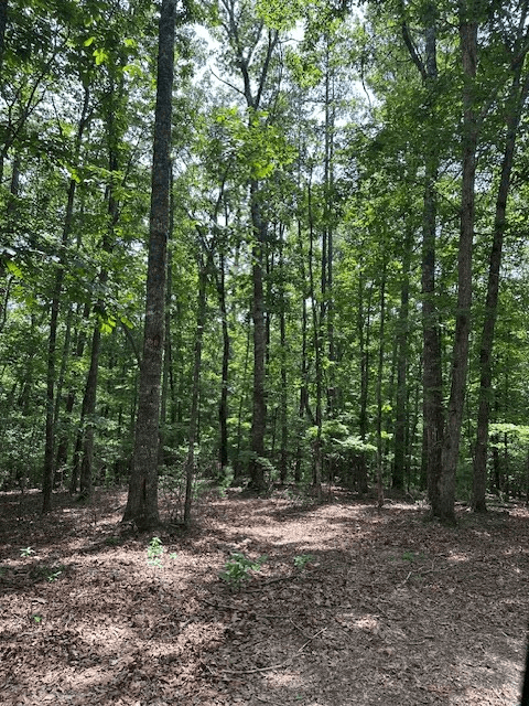Lot 208 Boulder Creek Road, Murphy NC 28906 - Photo