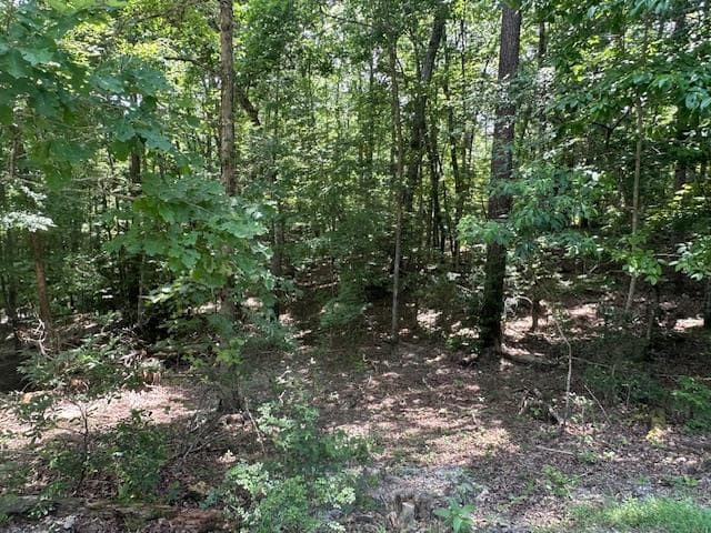 Lot 208 Boulder Creek Road, Murphy NC 28906 - Photo