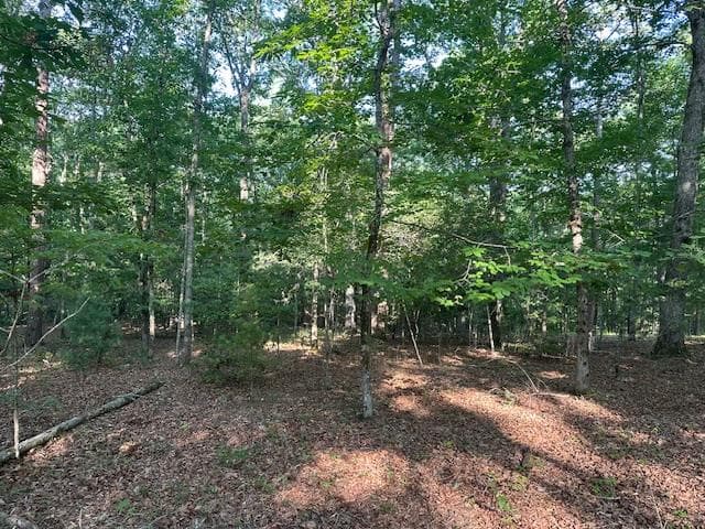 Lot 208 Boulder Creek Road, Murphy NC 28906 - Primary photo