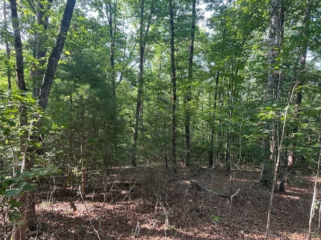 Lot 208 Boulder Creek Road, Murphy NC 28906 - Photo