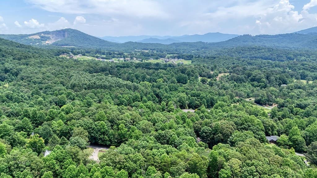 2087 Woodlake Lane, Young Harris GA 30582 - Photo