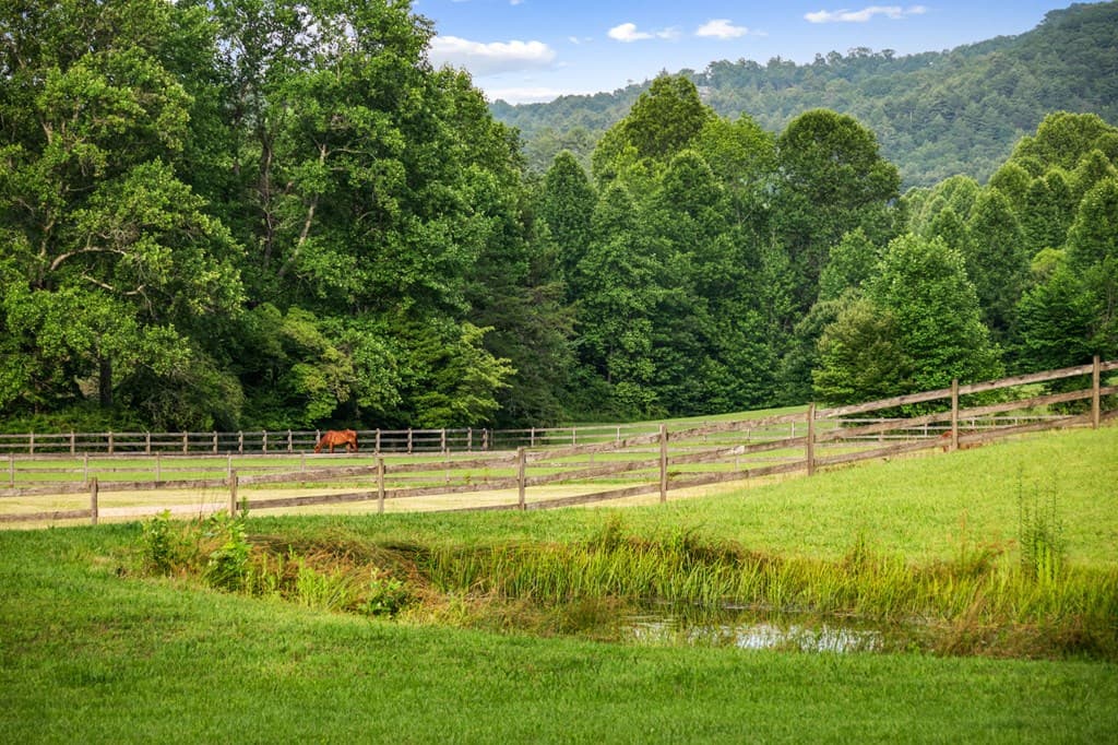 225 Cohutta Ranch Road, Blue Ridge GA 30513 - Photo