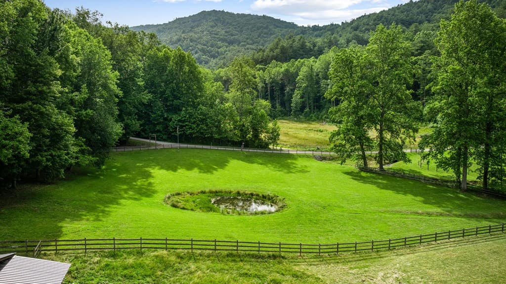 225 Cohutta Ranch Road, Blue Ridge GA 30513 - Photo