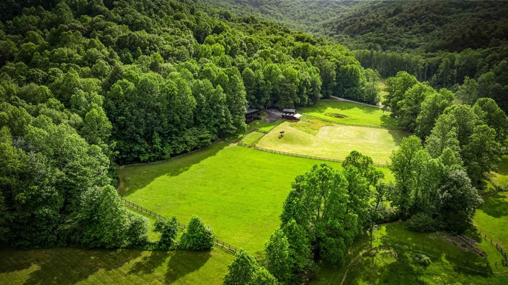 225 Cohutta Ranch Road, Blue Ridge GA 30513 - Photo