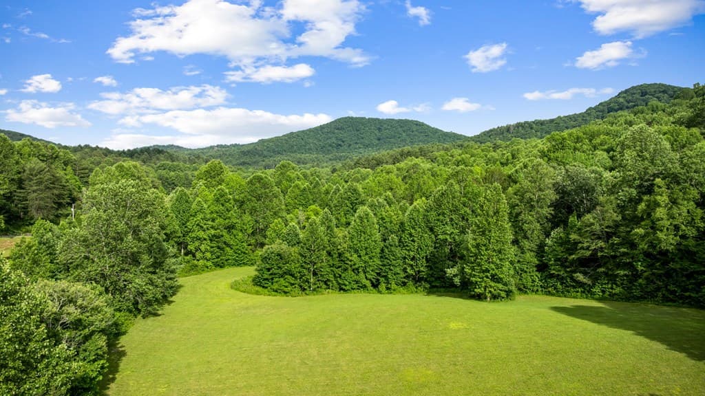 225 Cohutta Ranch Road, Blue Ridge GA 30513 - Photo