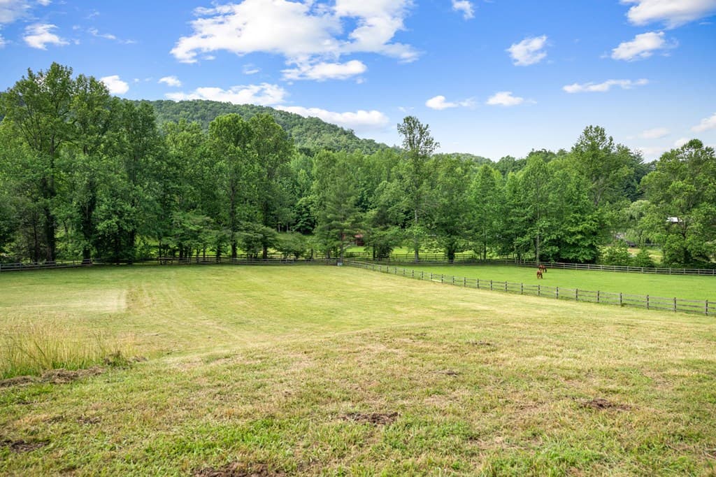 225 Cohutta Ranch Road, Blue Ridge GA 30513 - Photo
