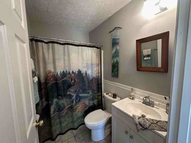 141 Doc Roof Road, Mineral Bluff GA 30559 - Photo