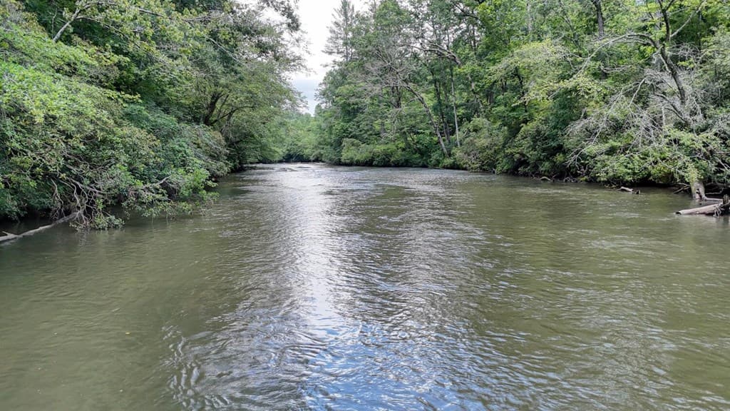 243 Chattahoochee Acres, Cleveland GA 30528 - Photo