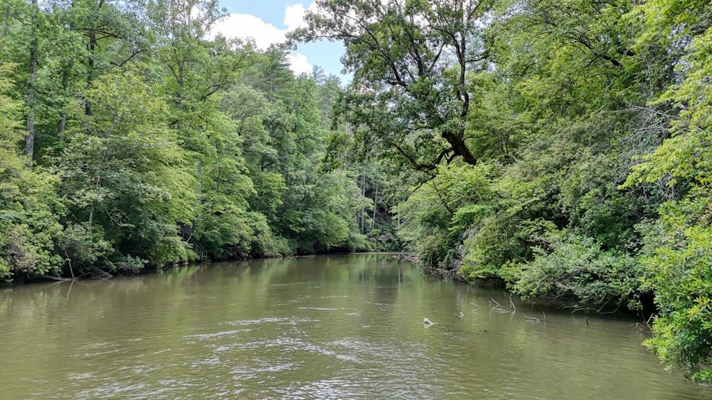 243 Chattahoochee Acres, Cleveland GA 30528 - Photo
