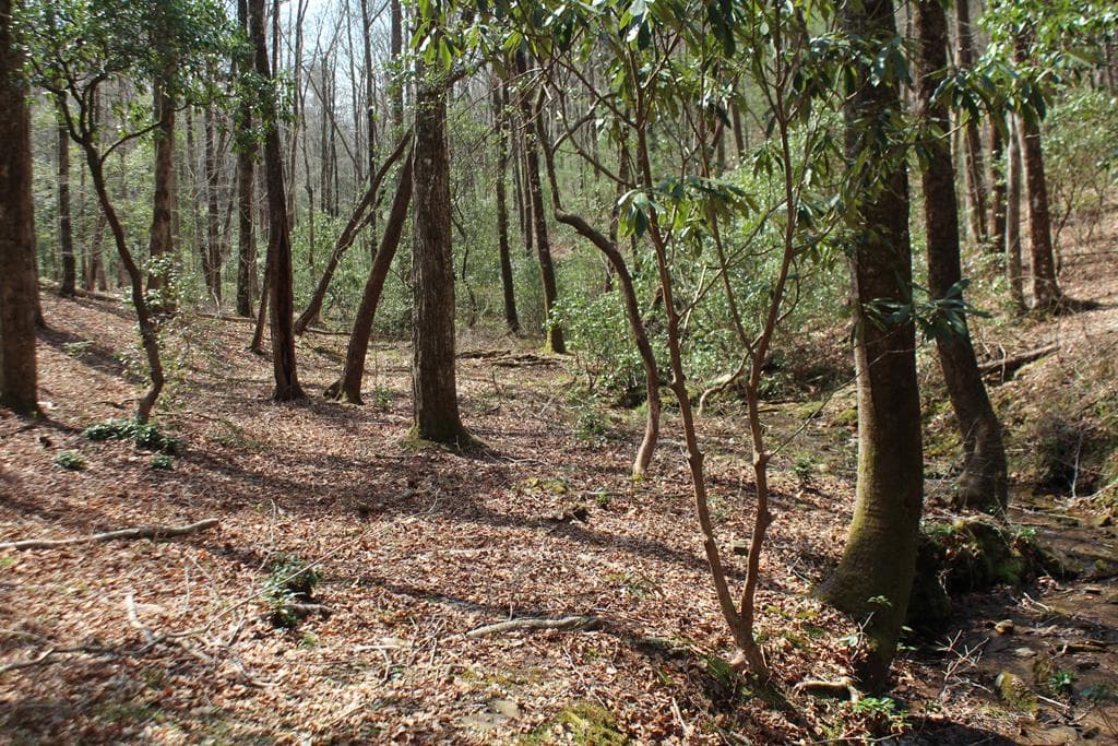 Lot 25 N Shelton Springs Drive, Hayesville NC 28904 - Photo