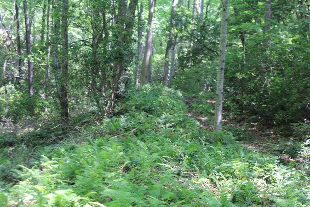 Lot 25 N Shelton Springs Drive, Hayesville NC 28904 - Photo