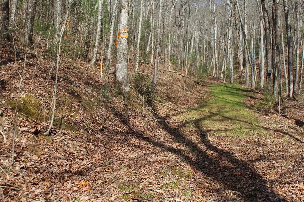 Lot 25 N Shelton Springs Drive, Hayesville NC 28904 - Photo