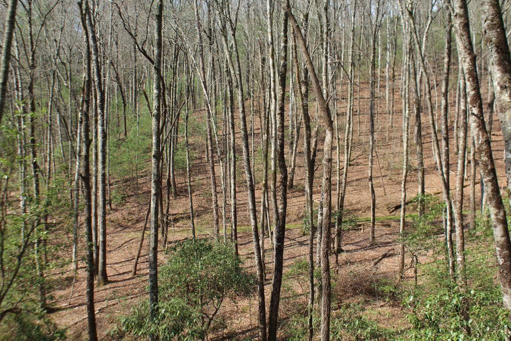 Lot 25 N Shelton Springs Drive, Hayesville NC 28904 - Photo