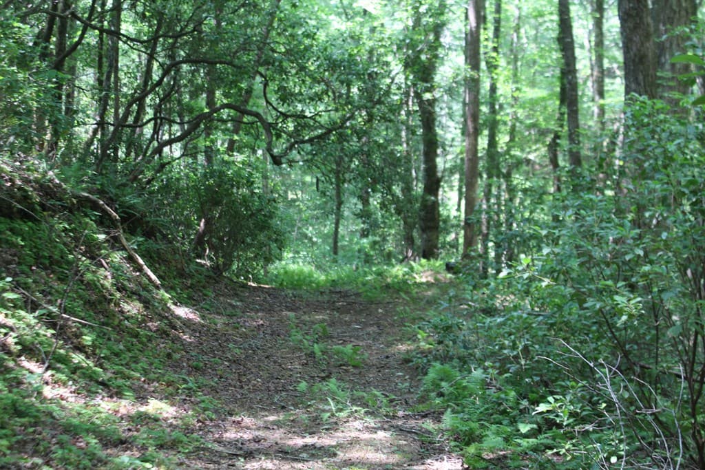 Lot 25 N Shelton Springs Drive, Hayesville NC 28904 - Photo