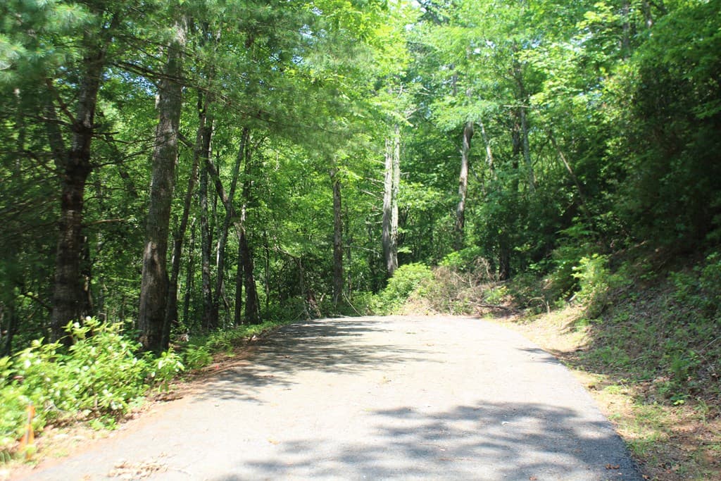 Lot 25 N Shelton Springs Drive, Hayesville NC 28904 - Photo