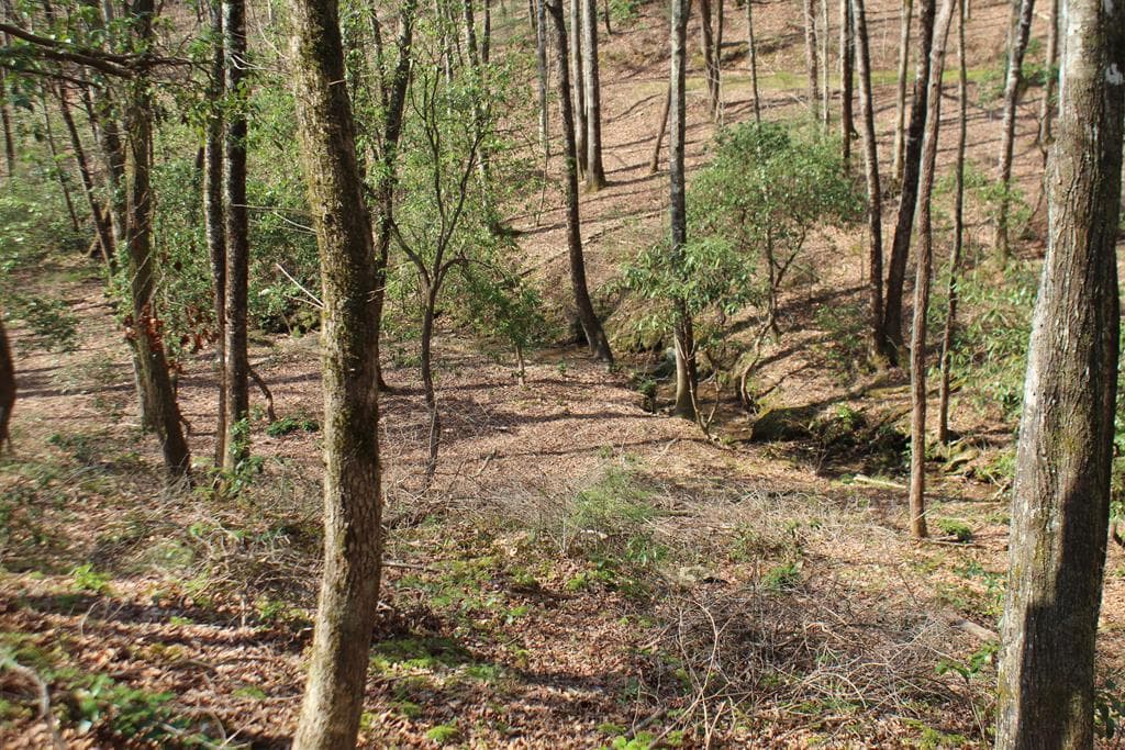 Lot 25 N Shelton Springs Drive, Hayesville NC 28904 - Photo