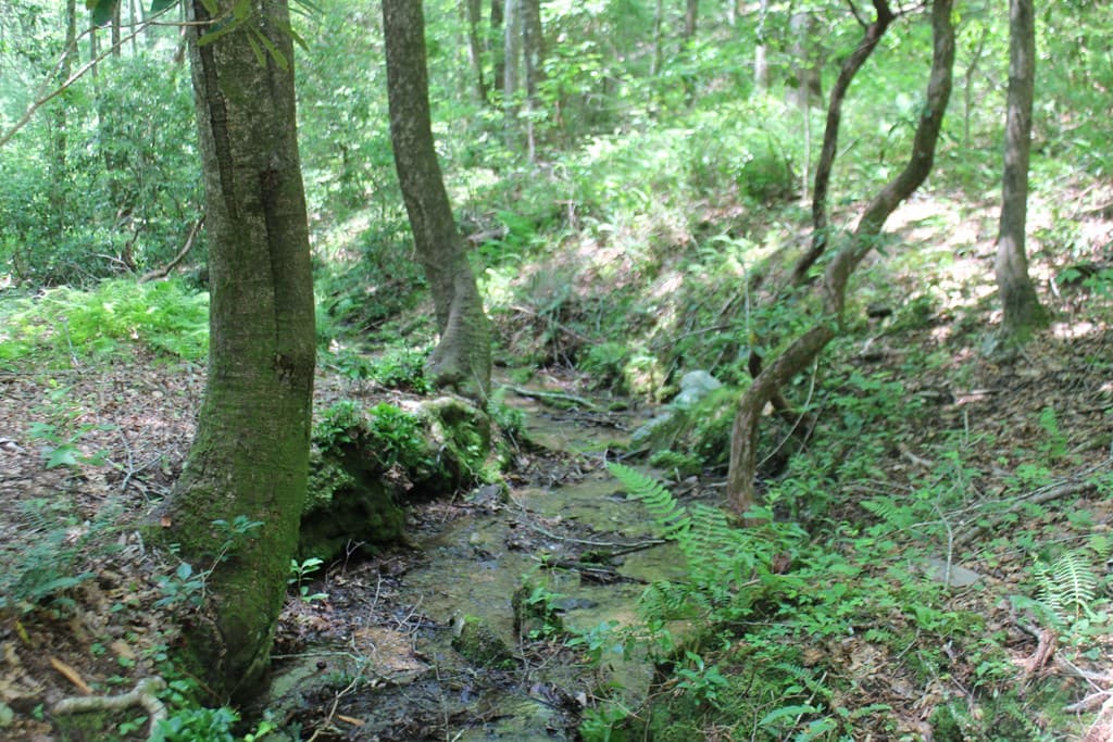 Lot 25 N Shelton Springs Drive, Hayesville NC 28904 - Photo