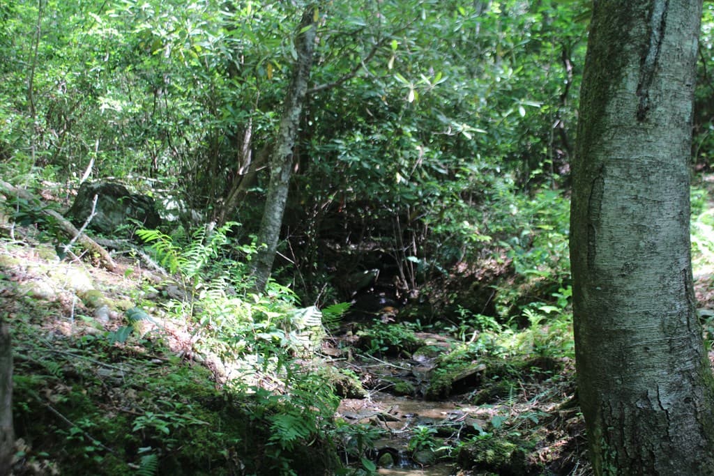 Lot 25 N Shelton Springs Drive, Hayesville NC 28904 - Photo