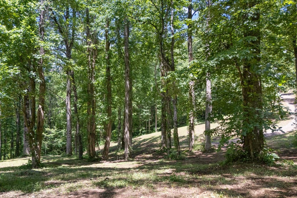 1 Lories Mountain Drive, Hayesville NC 28904 - Photo