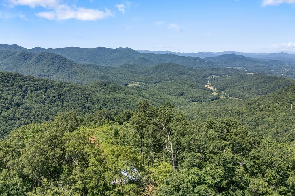 1 Lories Mountain Drive, Hayesville NC 28904 - Photo