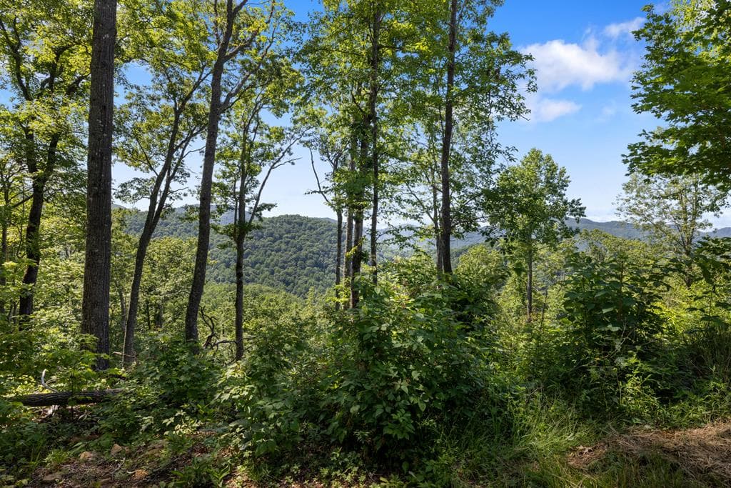 1 Lories Mountain Drive, Hayesville NC 28904 - Photo