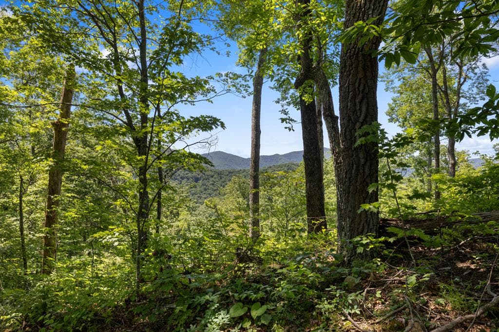 1 Lories Mountain Drive, Hayesville NC 28904 - Photo