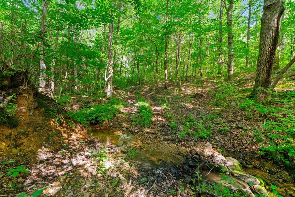 2948 Holly Creek Cool Springs Road, Chatsworth GA 30705 - Photo