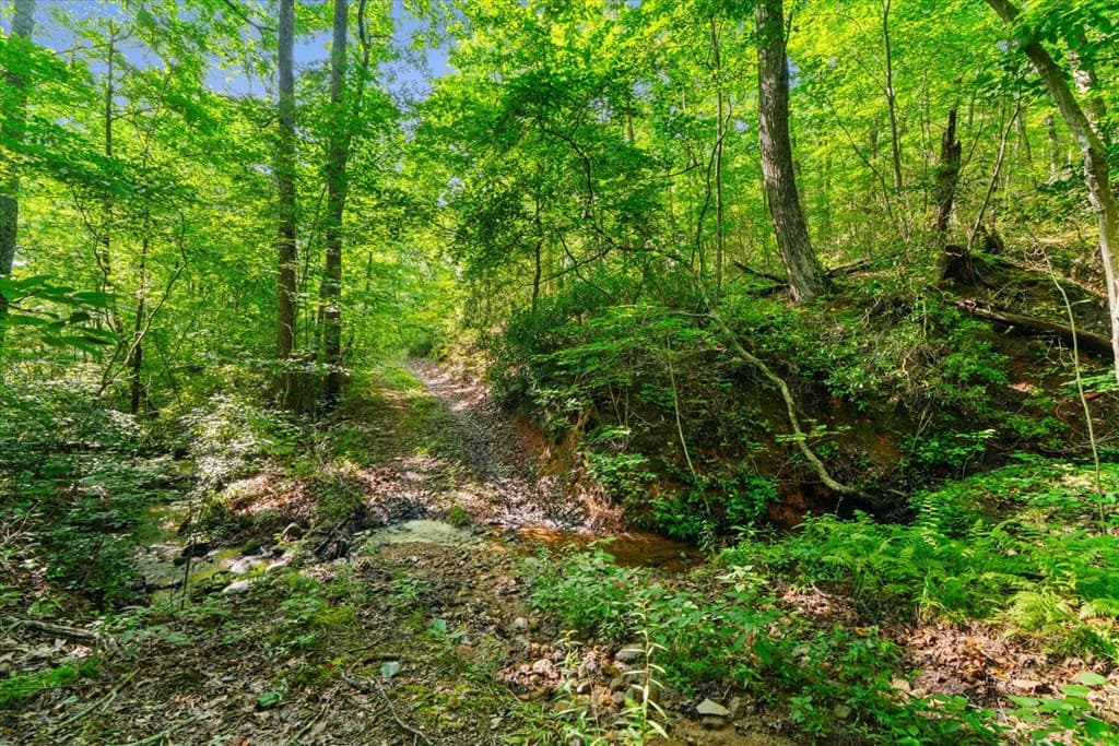 2948 Holly Creek Cool Springs Road, Chatsworth GA 30705 - Photo
