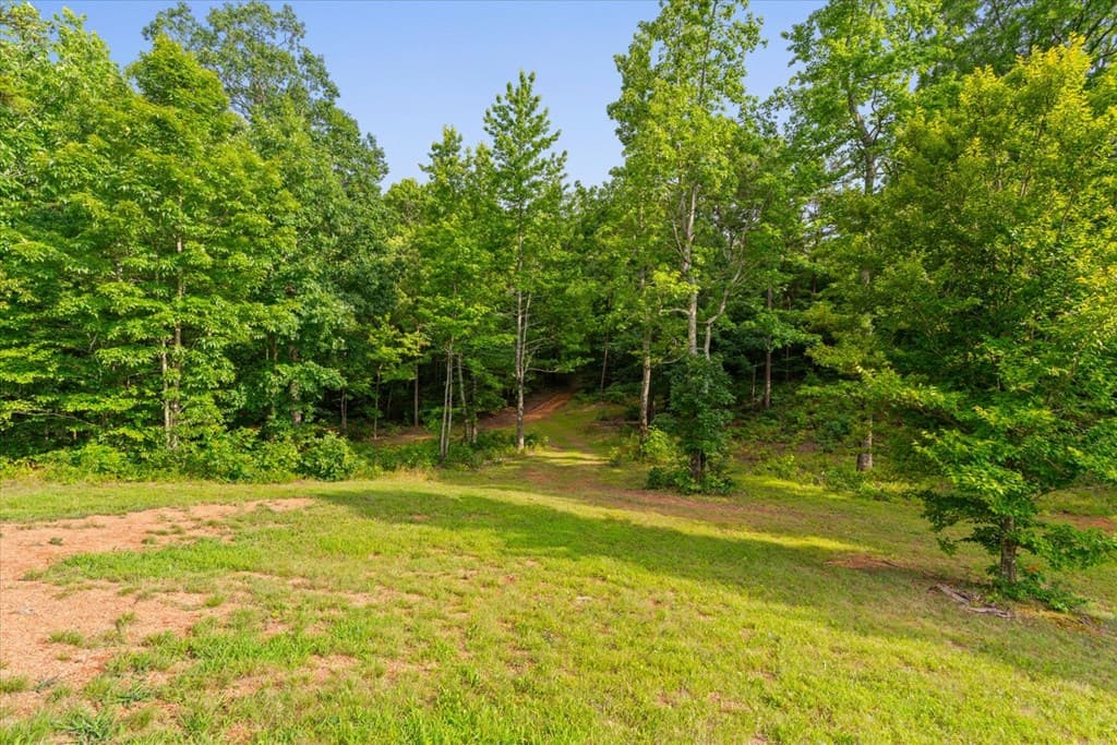 2948 Holly Creek Cool Springs Road, Chatsworth GA 30705 - Photo