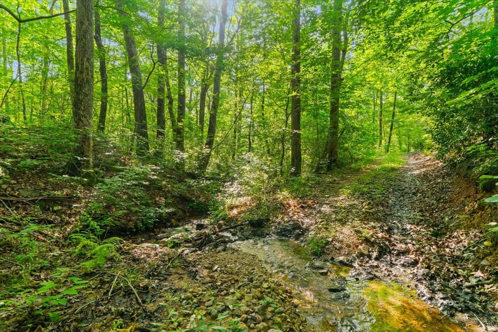 2948 Holly Creek Cool Springs Road, Chatsworth GA 30705 - Photo