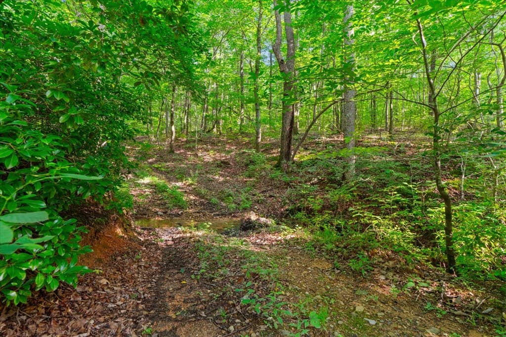 2948 Holly Creek Cool Springs Road, Chatsworth GA 30705 - Photo