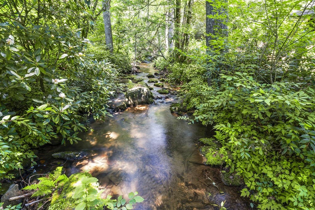 9883 Warwoman Road, Clayton GA 30525 - Photo