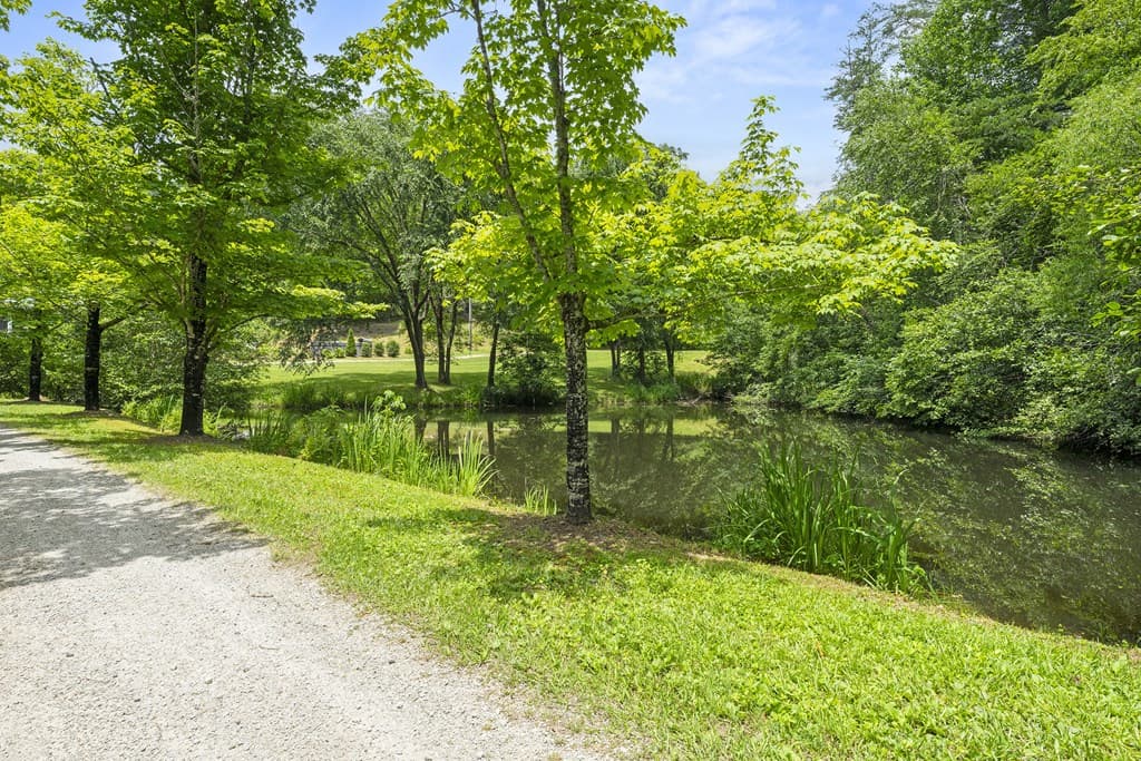 9883 Warwoman Road, Clayton GA 30525 - Photo