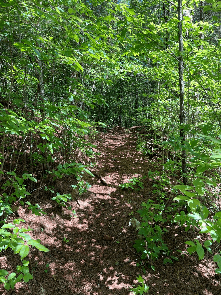 56 acres Old Hwy 5s, Talking Rock GA 30175 - Photo