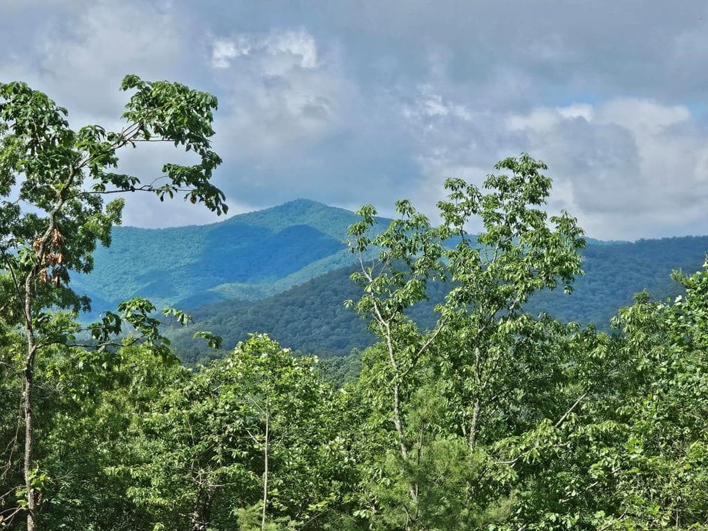 17 Buckhead Hills, Hiawassee GA 30546 - Photo