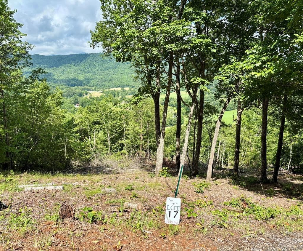 17 Buckhead Hills, Hiawassee GA 30546 - Photo
