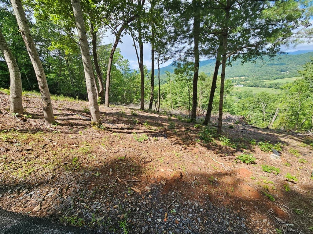 17 Buckhead Hills, Hiawassee GA 30546 - Photo