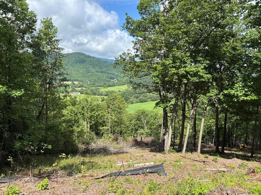 17 Buckhead Hills, Hiawassee GA 30546 - Primary photo