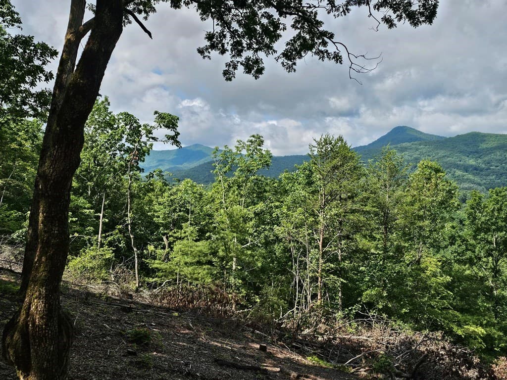 17 Buckhead Hills, Hiawassee GA 30546 - Photo