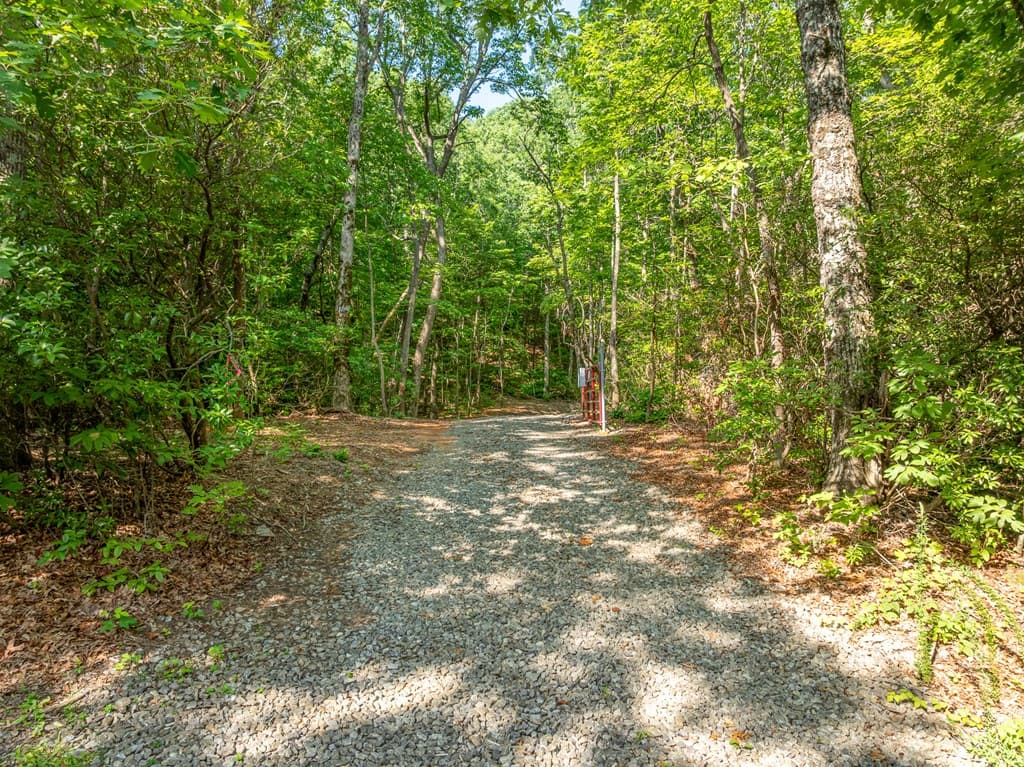 1298 Cold Stream Trail, Jasper GA 30143 - Photo