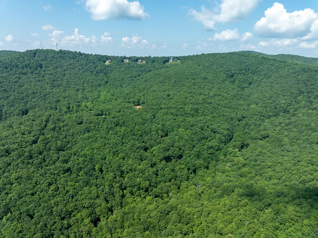 1298 Cold Stream Trail, Jasper GA 30143 - Photo