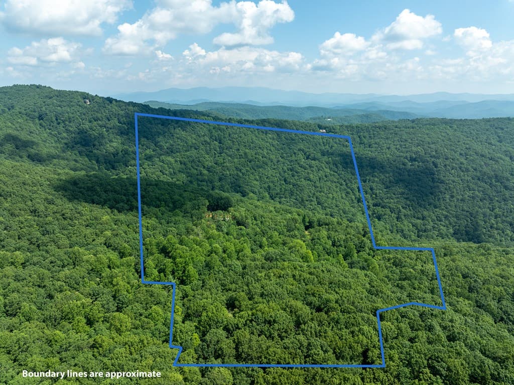 1298 Cold Stream Trail, Jasper GA 30143 - Photo