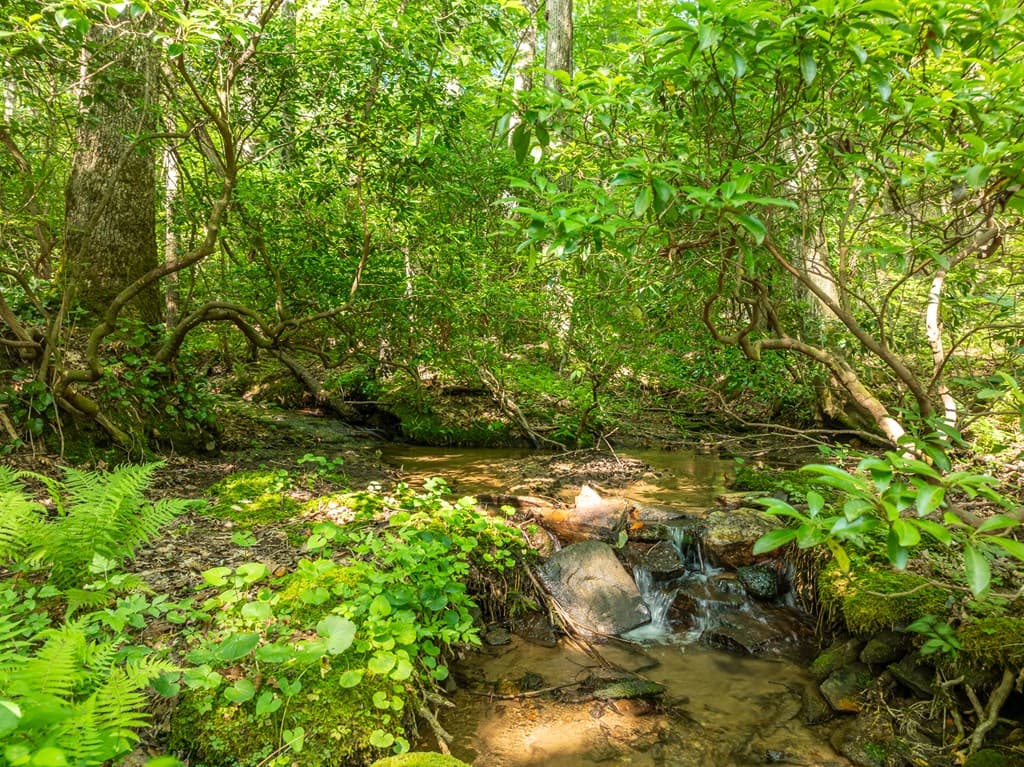 1298 Cold Stream Trail, Jasper GA 30143 - Photo