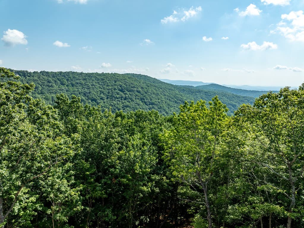 1298 Cold Stream Trail, Jasper GA 30143 - Photo