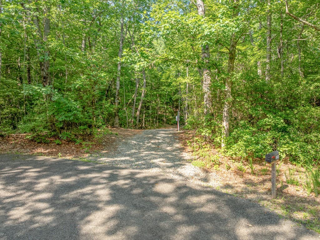 1298 Cold Stream Trail, Jasper GA 30143 - Photo