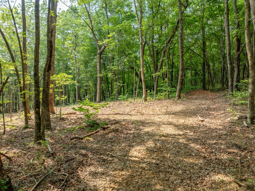 1298 Cold Stream Trail, Jasper GA 30143 - Photo