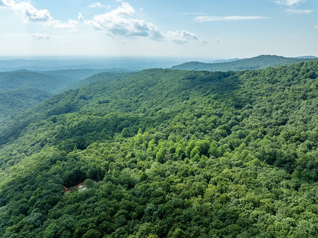 1298 Cold Stream Trail, Jasper GA 30143 - Photo